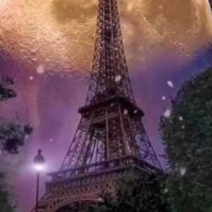 Meet your Posher, Loren